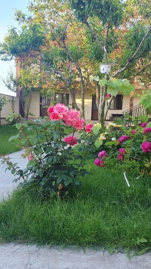 Hotel La Babusca Două Mai Esterno foto
