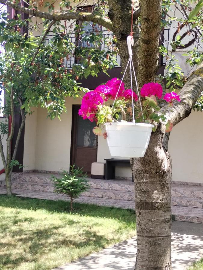 Hotel La Babusca Două Mai Esterno foto